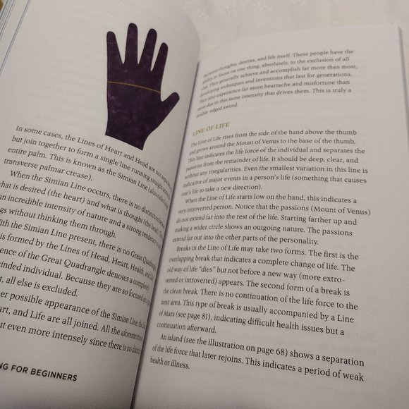 🌟 Palm Reading for Beginners - Picture 4 of 5